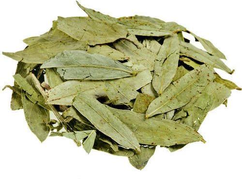 Cassia Angustifolia Vahl