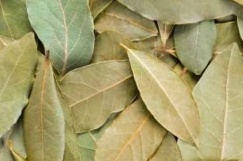 Taj Patta, Packaging Type : Jute Bag