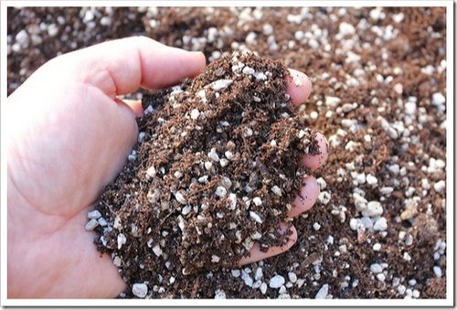 Potting Soil Mix