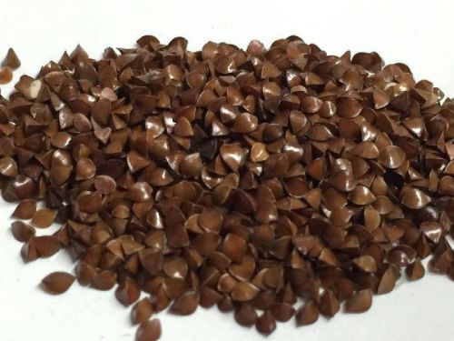 Red Beejband Seeds, For Agriculture, Style : Dried