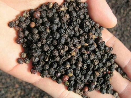 Black Pepper, Packaging Size : 50 G