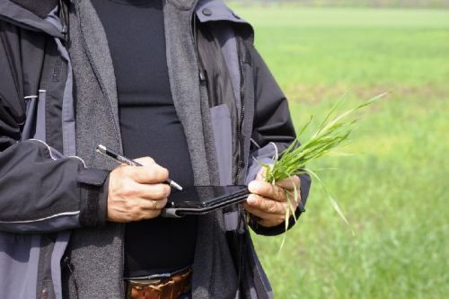 Farming Consultancy Services