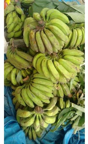 Fresh Bananas, Packaging Type : Carton