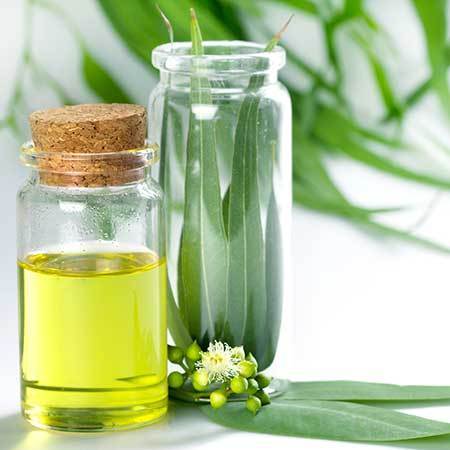 Eucalyptus Essential Oil, For Infections, Stomach Issue, Certification : FSSAI