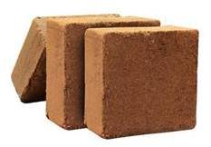 Coco Peat Blocks, Weight : 5 Kg Per Block