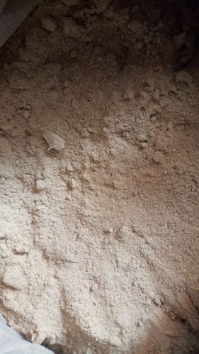 Non Organic Shatavari Powder, For Health Segment, Grade : Medicinal, Animal Feed