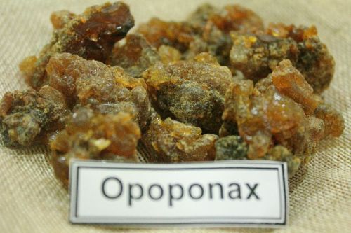 OPOPONAX ( BIG GUM MYRRH ), Shelf Life : 5 YEARS