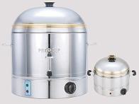 Electrical Steamer