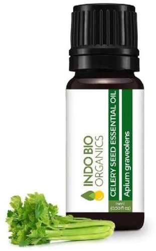 Celery Essential Oil