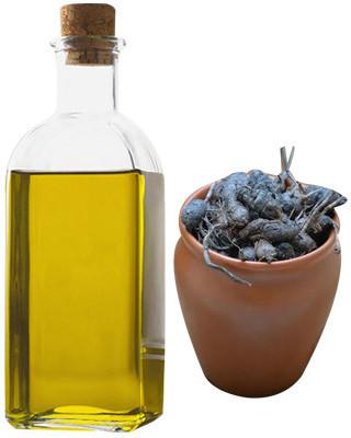 Cypriol Essential Oil