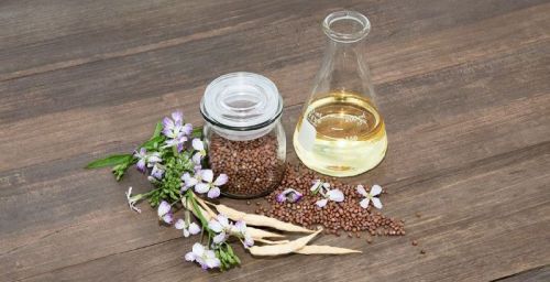 Cold Pressed Organic Radish Seed Carrier Oil