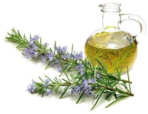 Rosemary Essential Oil