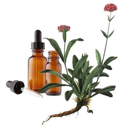 Spikenard Essential Oil