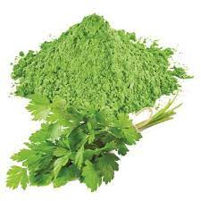 Dehydrated Coriander Leaves Powder, Shelf Life : 1years