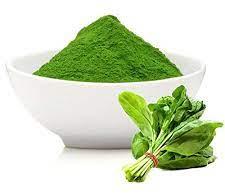 Common Dehydrated Spinach Powder, For Cooking, Packaging Type : Plastic Packet