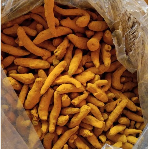 Raw Salem Turmeric Finger, Certification : FSSAI Certified