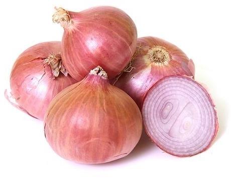 Fresh Organic Onion, Size : Large