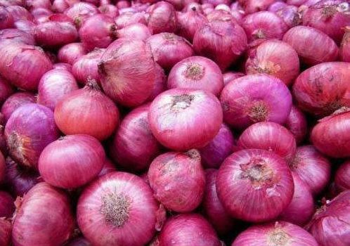 Organic Fresh Pink Onion, For Cooking, Fast Food, Snacks, Packaging Type : Net Bag