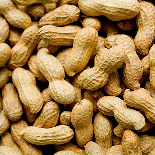 Shelled Groundnuts