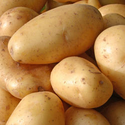 Natural 3797 Potato, For Human Consumption, Cooking, Home, Hotels, Certification : FSSAI Certified