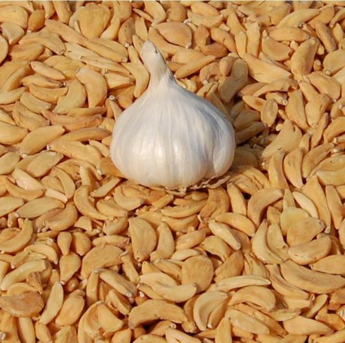 Comma Dehydrated Garlic, For Cooking, Human Consumption, Oil Extraction, Style : Dried