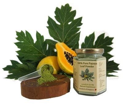 Papaya Leaf Powder