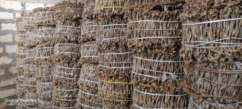 Dried Bombay Duck, Shelf Life : 1week