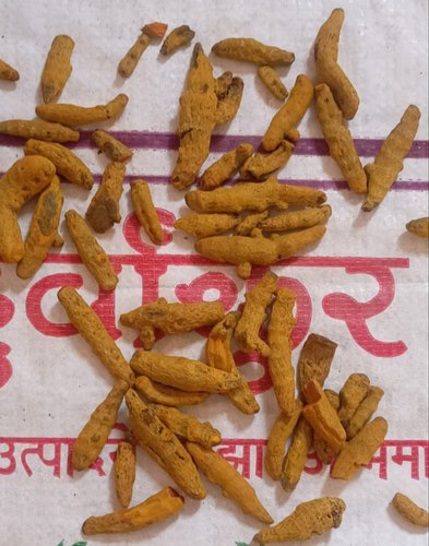 Dried Turmeric Finger, Packaging Type : Loose