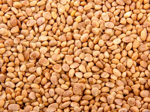 Natural Chironji Seeds, Certification : FSSAI Certified