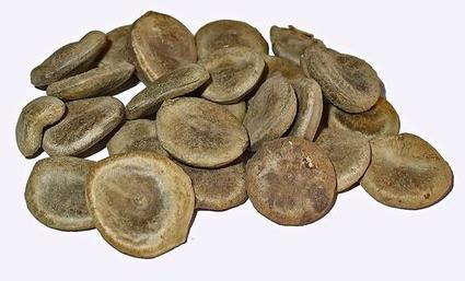 Natural Kuchla Seeds, For Medicinal, Style : Dried