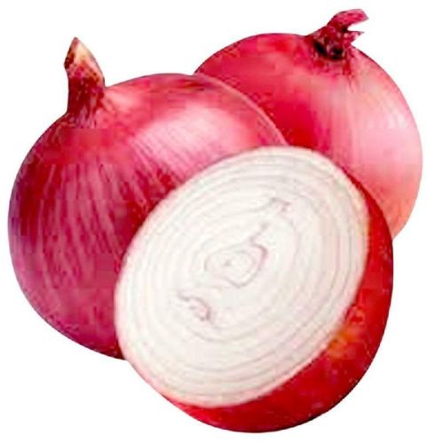 Fresh Onion