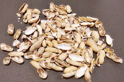 Common Groundnut Shell, For Fuel, Form : Broken