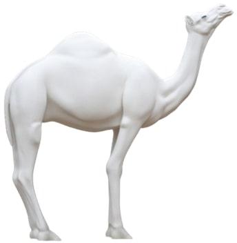 Polished Marble Camel Statue, For Garden, Home, Size : Multisizes