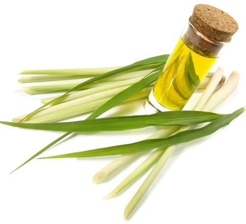 Lemongrass Oil, Form : Liquid