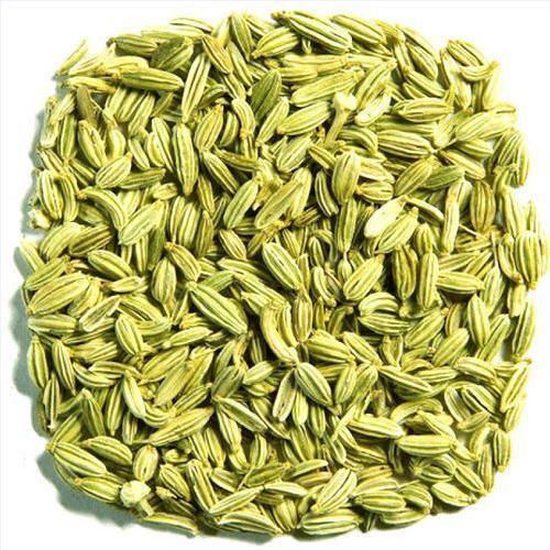 Organic Fennel Seeds, Color : Green