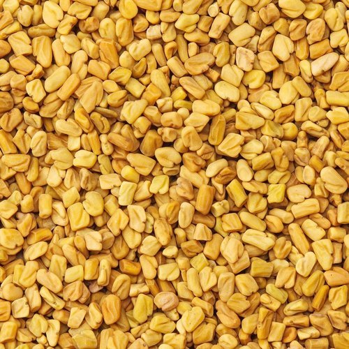 Organic Fenugreek Seeds, Color : Light Brown
