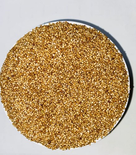 Unpolished Kodo Millet, For High In Protein, Packaging Type : Loose