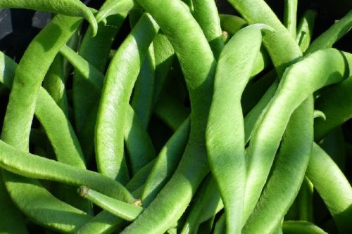 Fresh Runner Beans