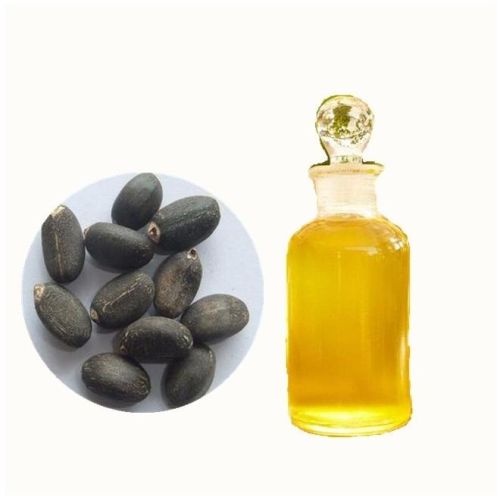 Crude Jatropha Oil