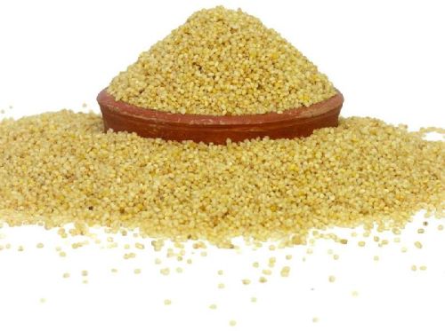 Fine Processed Organic Foxtail Millet, Shelf Life : 12months