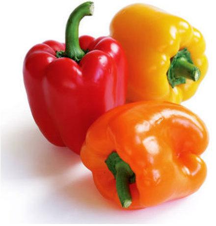 Fresh Bell Pepper, Packaging Type : Plastic Pouch