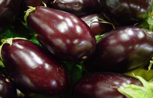 Fresh Brinjal, Shelf Life : 20 Days