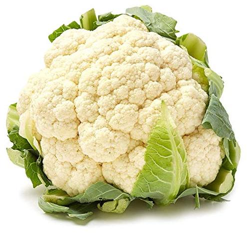 Organic Fresh Cauliflower, For Human Consumption, Packaging Type : Jute Bag