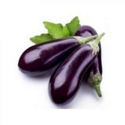 Organic Fresh Eggplant, For Human Consumption, Certification : FSSAI Certified