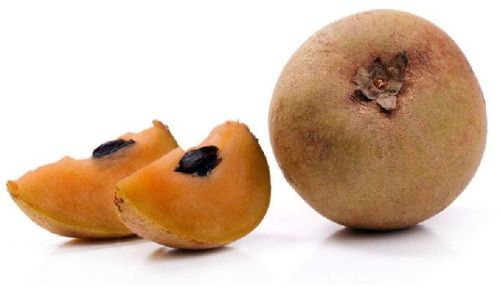 Organic Fresh Sapodilla, Packaging Type : Jute Bag