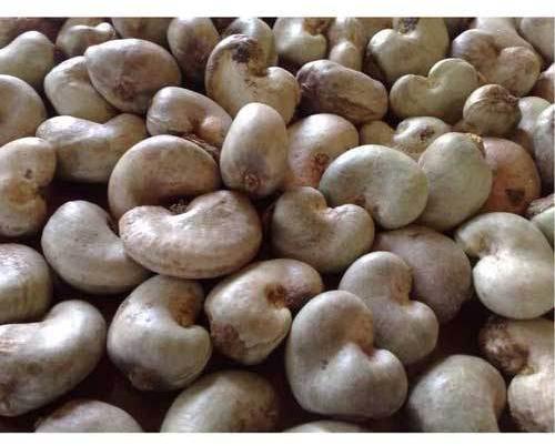 Curve Blanched Natural Raw Cashew Nuts, For Food, Packaging Type : Pouch, PP Bag, Sachet Bag