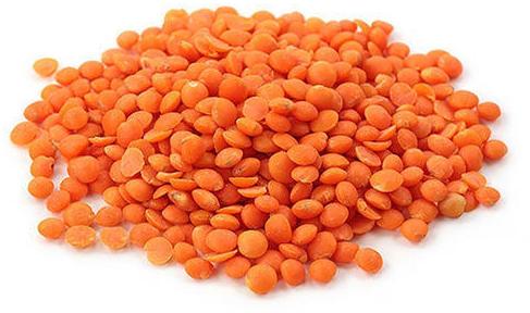 Organic Red Lentils, Shelf Life : 1year