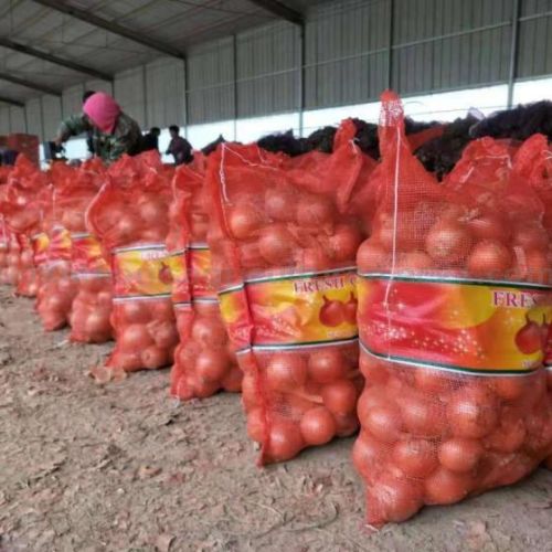 Red Onion, Packaging Type : Loose, Plastic Packet