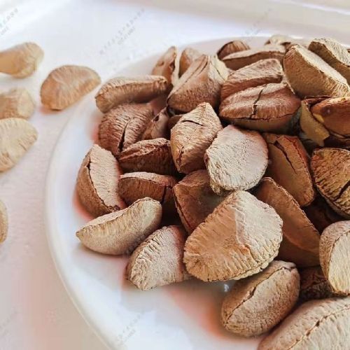 Round Brazil Nut With Shell, For Oil, Herbal Formulation, Cooking, Packaging Type : Plastic Packat