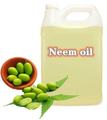 Seed Kernels Neem Oil, Extraction Type : Cold Process